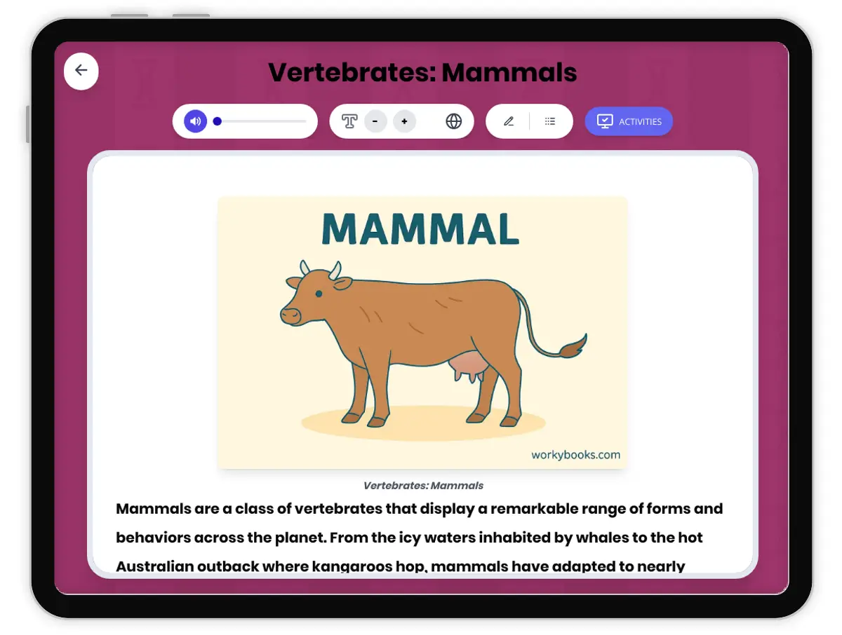 Interactive — Reading Comprehension preview: Vertebrates: Mammals covering MS-LS4-2, MS-LS4-4 standards - Page 1 of 1