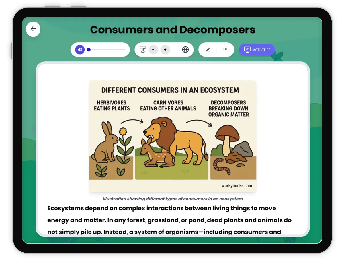 Interactive — Reading Comprehension preview: Consumers and Decomposers covering MS-LS2-3 standards - Page 1 of 1