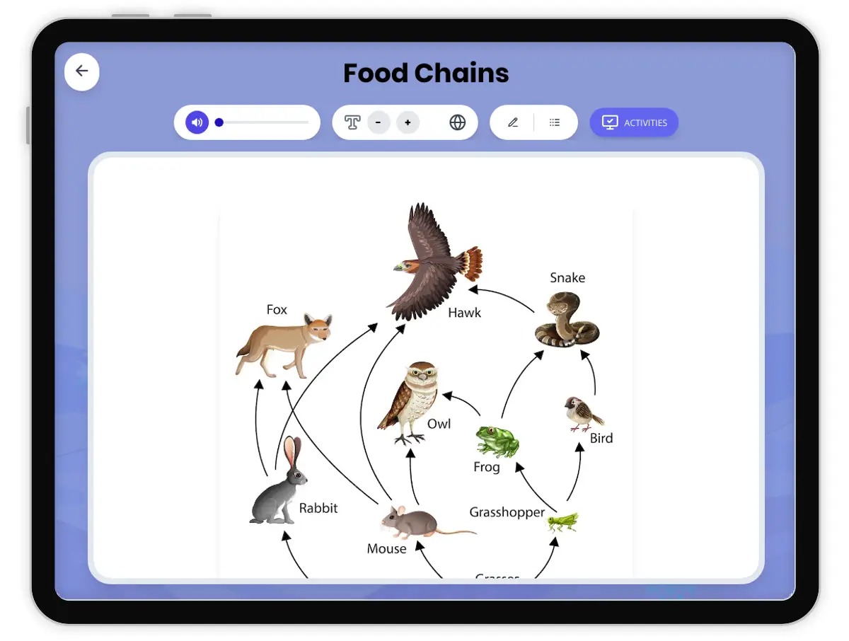 Interactive — Reading Comprehension preview: Food Chains covering MS-LS2-3 standards - Page 1 of 1