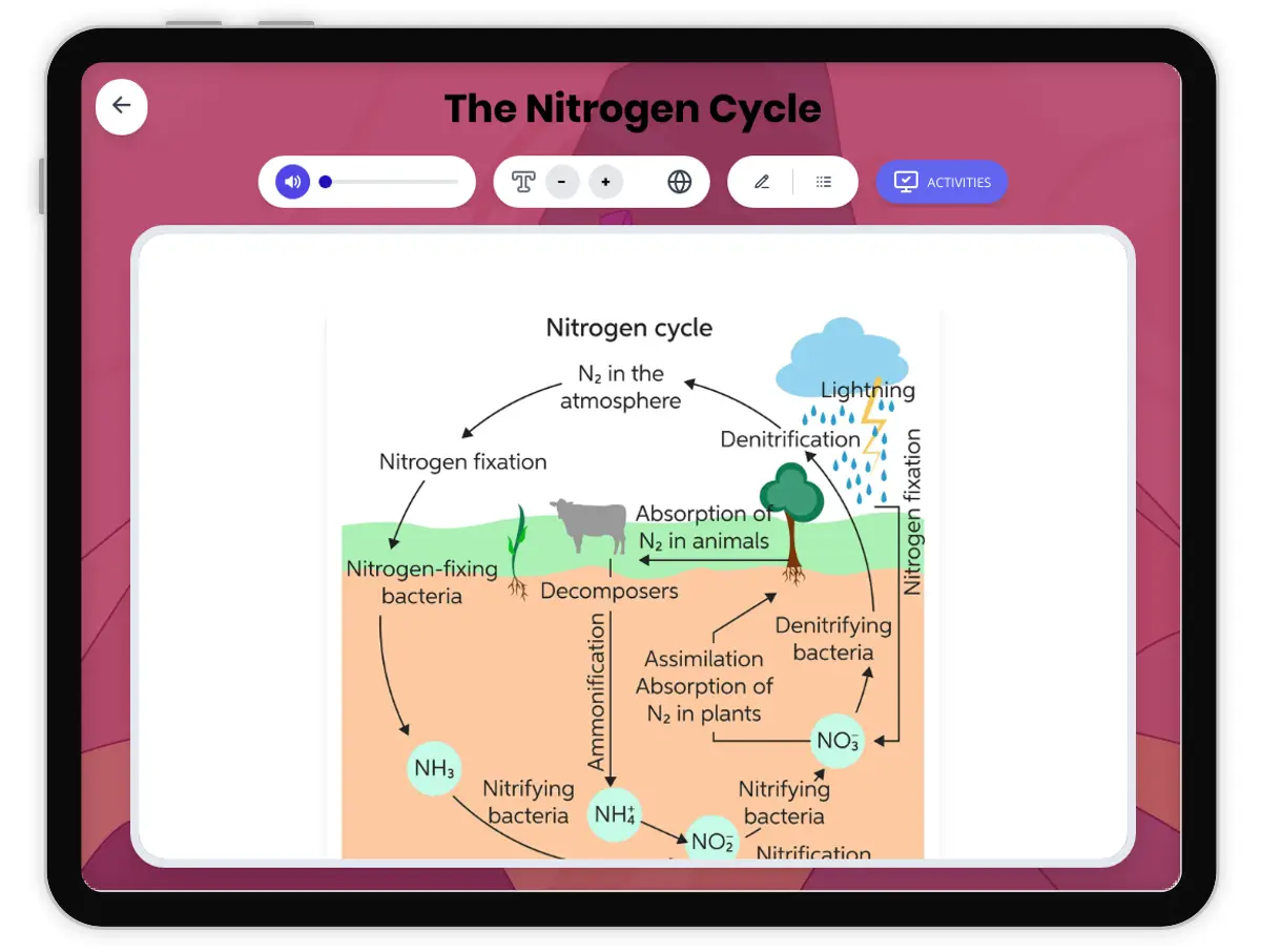 Interactive — Reading Comprehension preview: Nitrogen Cycle covering MS-LS2-3 standards - Page 1 of 1