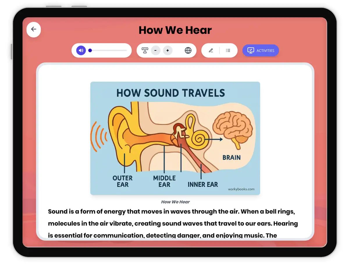 Interactive — Reading Comprehension preview: How We Hear covering MS-PS4-2 standards - Page 1 of 1