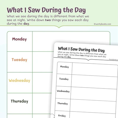 What I Saw During the Day—Graphic Organizer - worksheet educational content