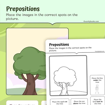 Prepositions - worksheet educational content