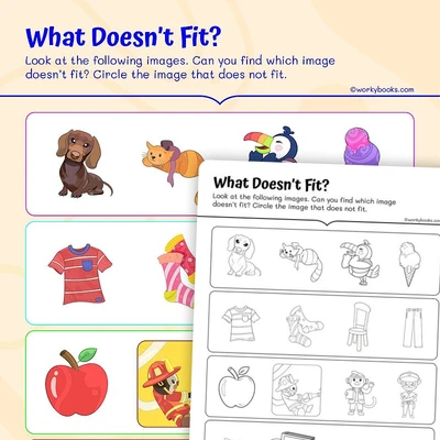 Vocabulary—What Doesn’t Fit? - worksheet educational content