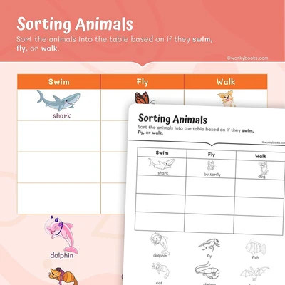 Sorting Animals - worksheet educational content