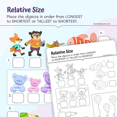 Ordering by Length - worksheet educational content