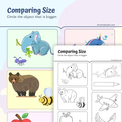 Comparing Size - worksheet educational content
