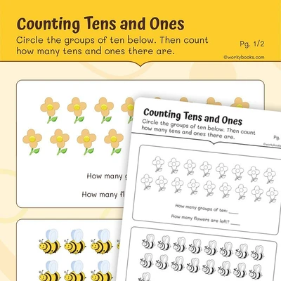 Counting Tens and Ones - worksheet educational content