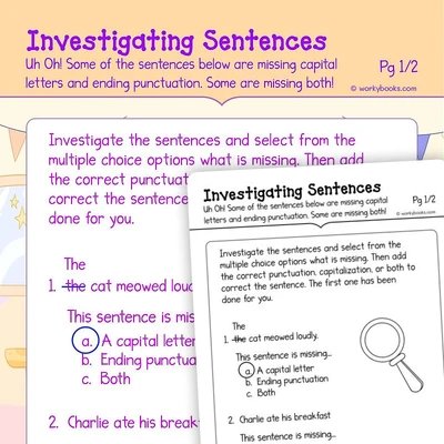 Investigating Sentences - worksheet educational content