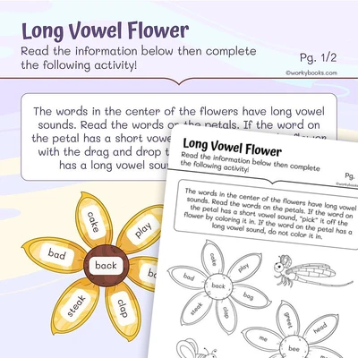 Long Vowel Flower - worksheet educational content