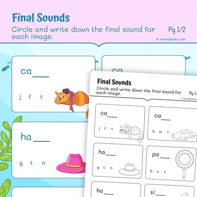 Final Sounds—Phonics - worksheet educational content