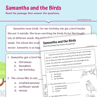 Short Story on Birds - worksheet educational content
