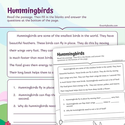Hummingbirds—Reading Fluency - worksheet educational content