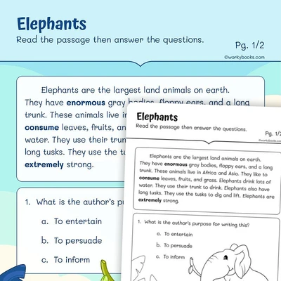Elephants —Context Clues - worksheet educational content