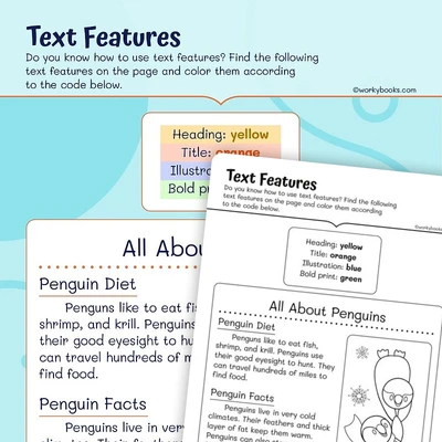 Text Features - worksheet educational content