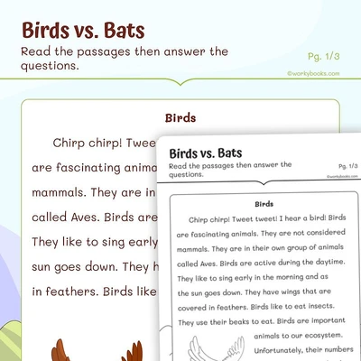 Compare and Contrast Birds vs Bats - worksheet educational content