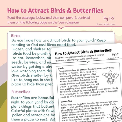 Compare and Contrast How to Attract Birds & Butterflies - worksheet educational content