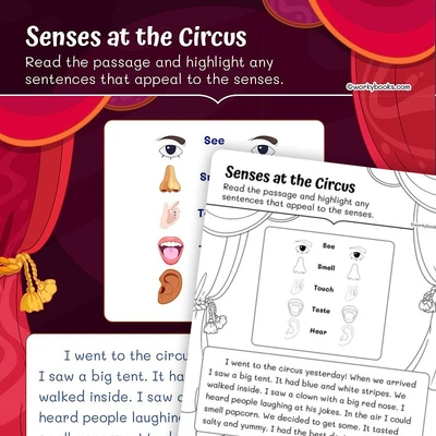 Senses at the Circus—Identify Words and Phrases - worksheet educational content