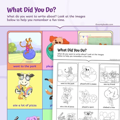 Writing Narratives What Did You Do? - worksheet educational content