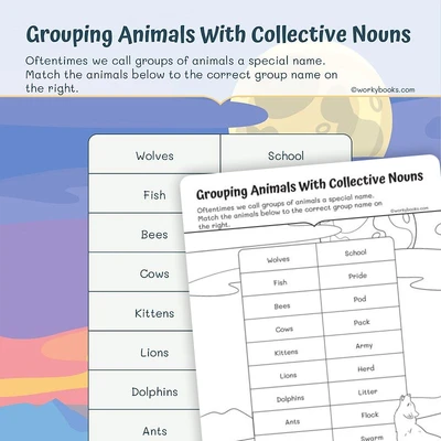 Grouping Animals With Collective Nouns - worksheet educational content