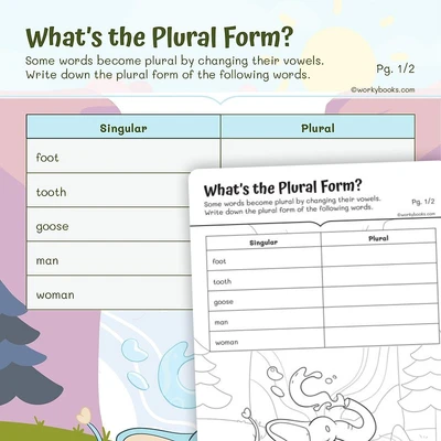 What's the Plural Form? - worksheet educational content