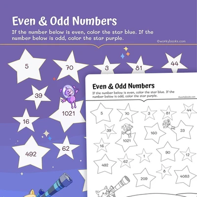 Odd and Even Numbers - worksheet educational content