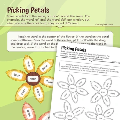 Spelling Picking Petals - worksheet educational content