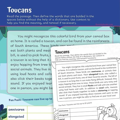 Context Clues Toucans - worksheet educational content