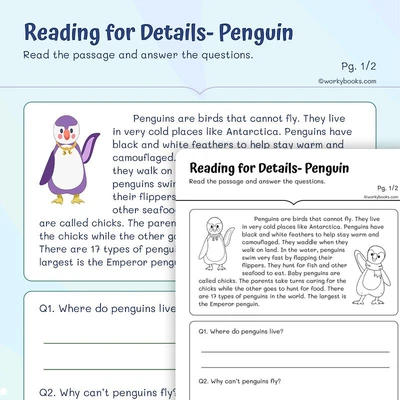 Reading for Details —Penguins - worksheet educational content