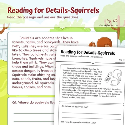 Reading for Details —Squirrels - worksheet educational content