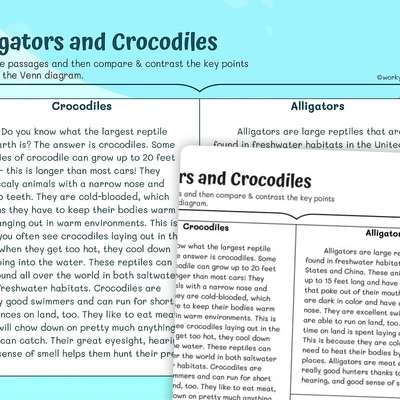 Compare and Contrast Crocodiles & Alligators - worksheet educational content