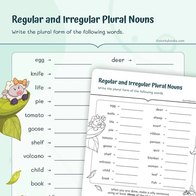 Regular and Irregular Plural Nouns - worksheet educational content
