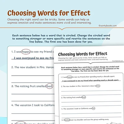 Vocabulary Choosing Words for Effect - worksheet educational content