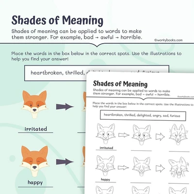 Shades of Meaning Using illustrations - worksheet educational content
