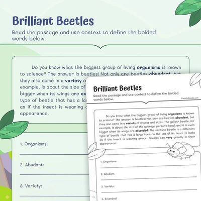 Brilliant Beetles—Find the definition - worksheet educational content