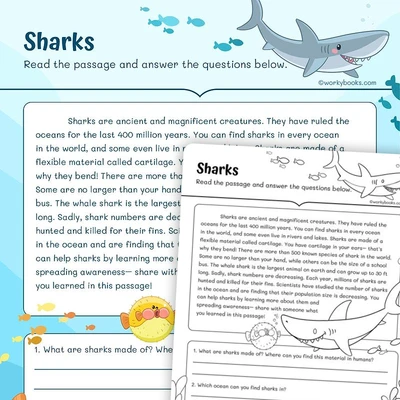 Sharks—Informational Text - worksheet educational content