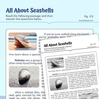 All about shells—Informational Text - worksheet educational content