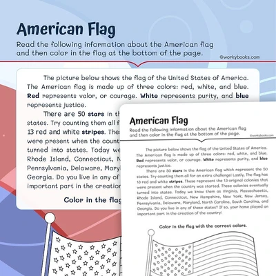 Informational Text — American Flag - worksheet educational content