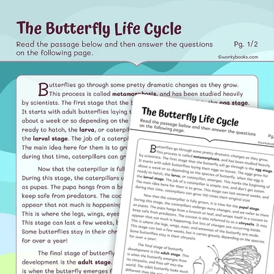 The Butterfly Life Cycle - worksheet educational content