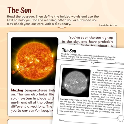 Informational Text —The Sun - worksheet educational content