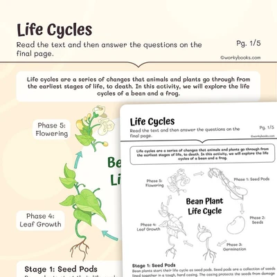 Life Cycles - worksheet educational content