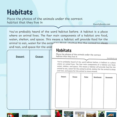 Informational Text — Habitats - worksheet educational content
