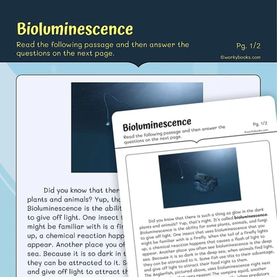 Informational Text —Bioluminescence - worksheet educational content