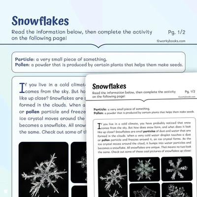 Informational Text —Snowflakes - worksheet educational content