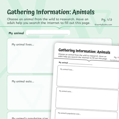 Gathering Information: Animals - worksheet educational content