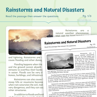 Rainstorms and Natural Disasters - worksheet educational content