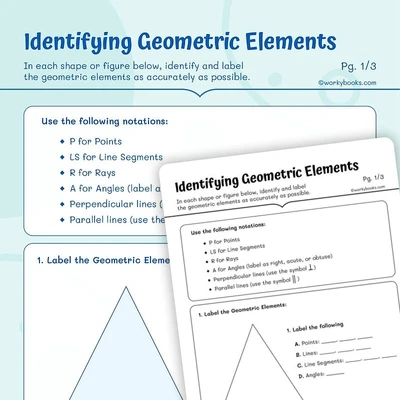 Identifying Geometric Elements - worksheet educational content