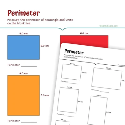 Perimeter of A Rectangle - worksheet educational content