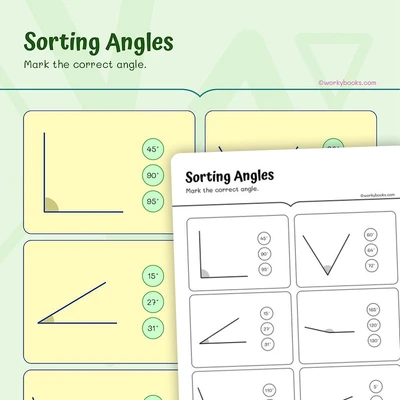 Sorting Angles - worksheet educational content