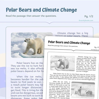 Polar Bears and Climate - worksheet educational content